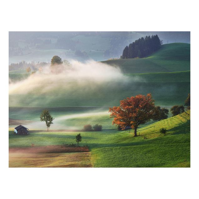Déco mur cuisine Journée brumeuse d'automne en Suisse