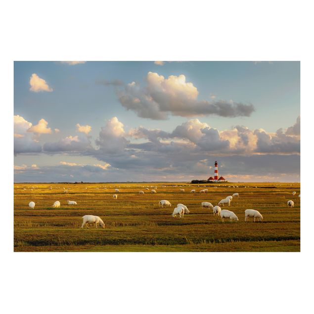 Tableaux paysage Phare de la mer du Nord avec un troupeau de moutons