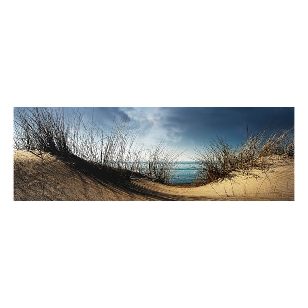 Tableau paysage Dune de sable