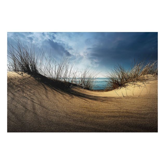 Tableau paysage Dune de sable
