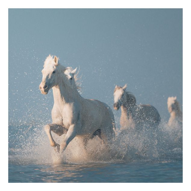 Tableau cheval Troupeau de chevaux blancs