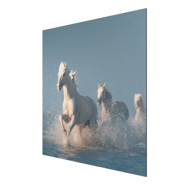 Tableau moderne Troupeau de chevaux blancs