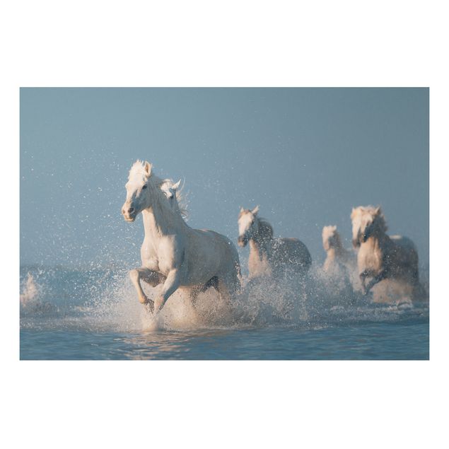 Tableau cheval Troupeau de chevaux blancs