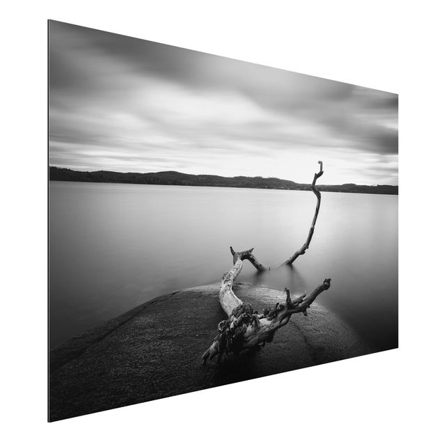 Tableau paysage Coucher de soleil en noir et blanc au bord du lac