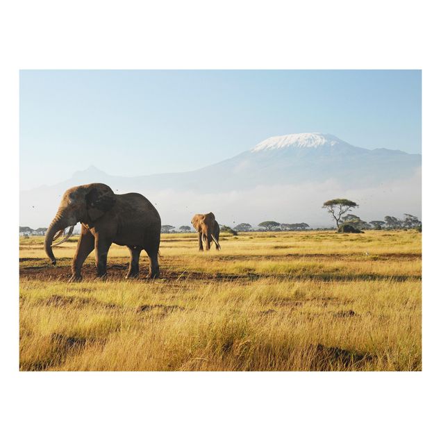 Tableaux paysage Eléphants devant le Kilimandjaro au Kenya