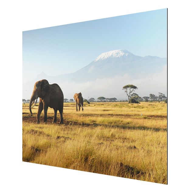Tableaux éléphants Eléphants devant le Kilimandjaro au Kenya