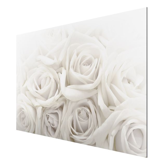 Tableau fleurs White Roses