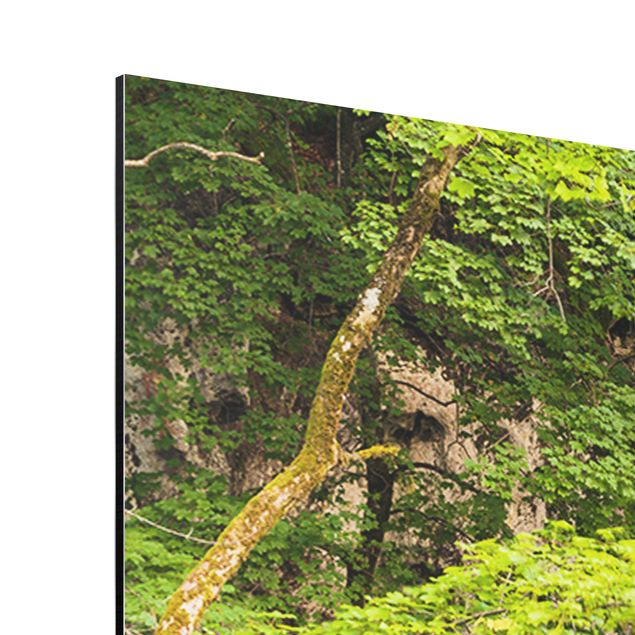 Tableau vert Chute d'eau Plitvice Lakes