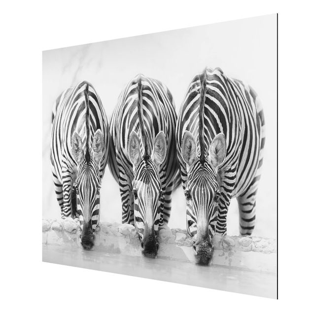 Tableaux moderne Trio de zèbres en noir et blanc