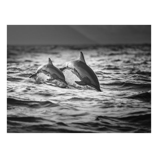 Tableau poisson Deux dauphins qui sautent
