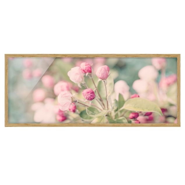 Tableau rose Apple Blossom Bokeh Light Pink