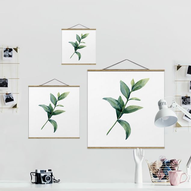 Tableau décoration Eucalyptus Aquarelle ll