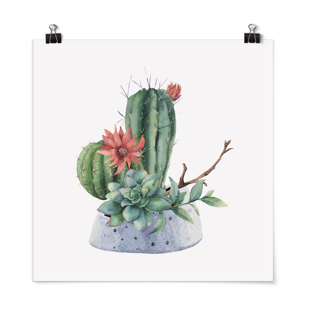 Poster fleurs Illustration de cactus à l'aquarelle