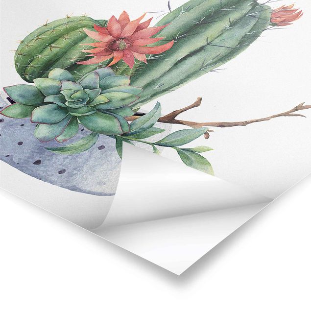 Posters Illustration de cactus à l'aquarelle