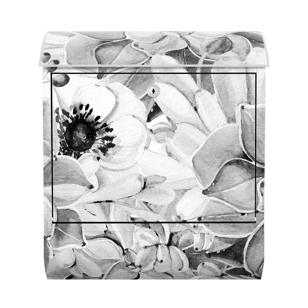 Boites aux lettres noir et blanc Aquarelle - Succulente avec fleur en noir et blanc