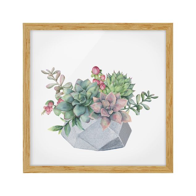 tableaux floraux Illustration de succulents à l'aquarelle
