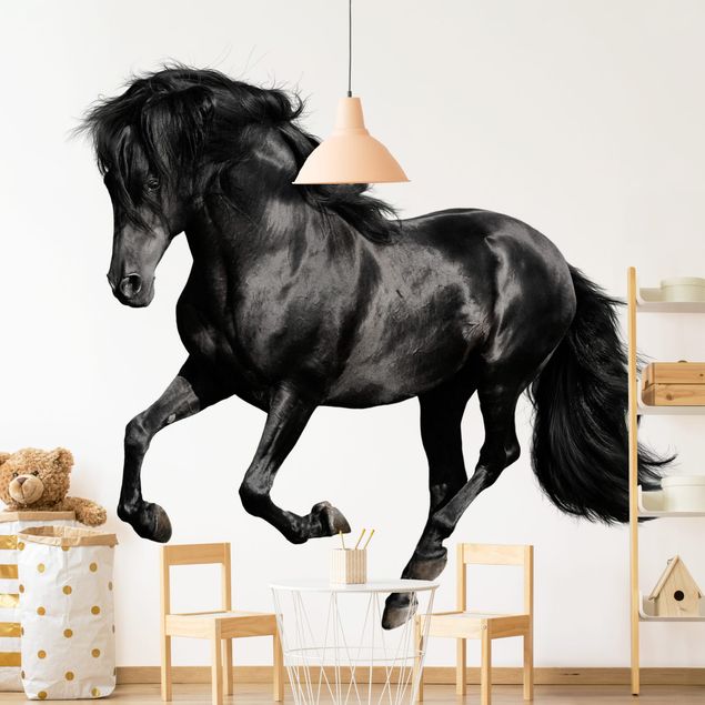 Papier peint - Arabian Stallion