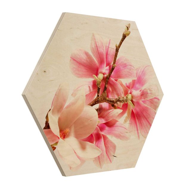 Tableaux bois Fleurs de magnolia