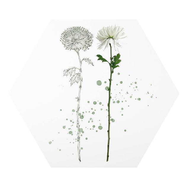 Tableaux florals Botanique à l'aquarelle - Pissenlit