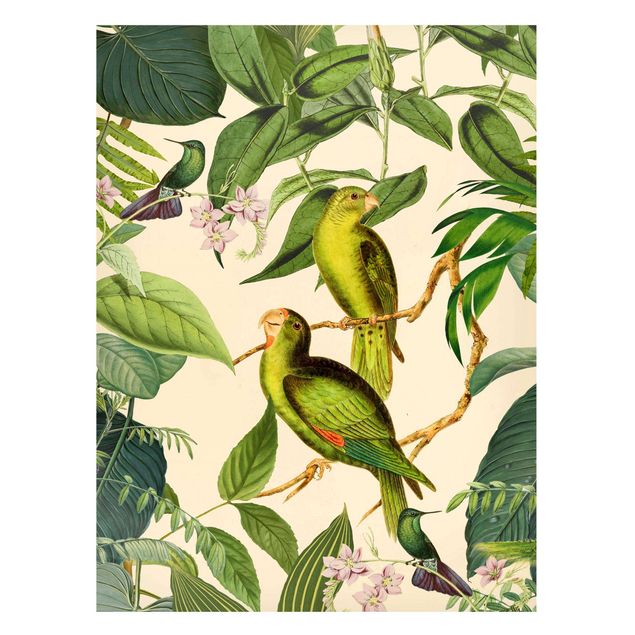 Tableau jungle Collage Vintage - Perroquets dans la jungle
