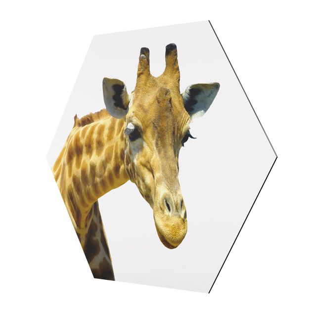 Tableau hexagonal No.21 Girafe Piqueuse