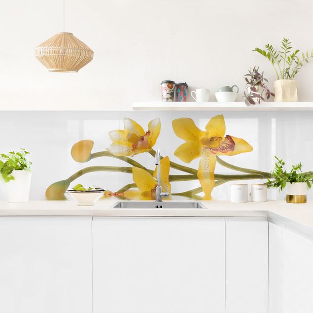 Crédence aluminium fleurs Eaux d'orchidées safranées