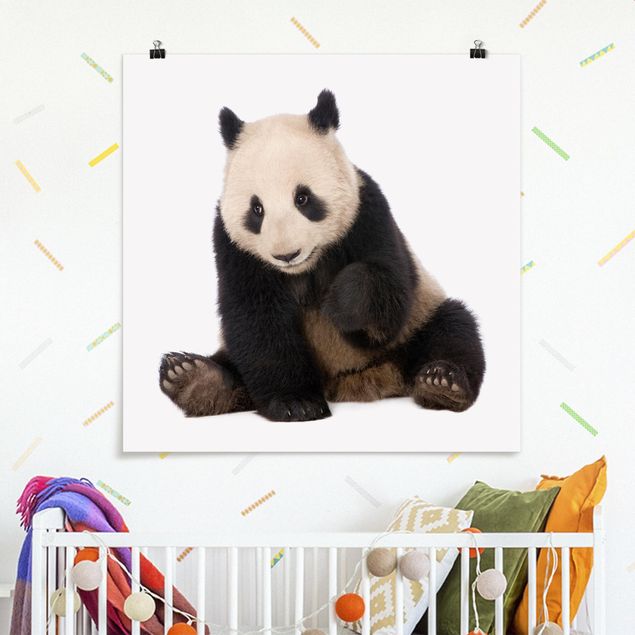 Tableau pandas Pattes de panda