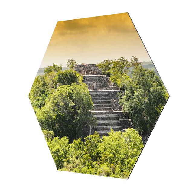 Tableau nature Pyramide de Calakmul