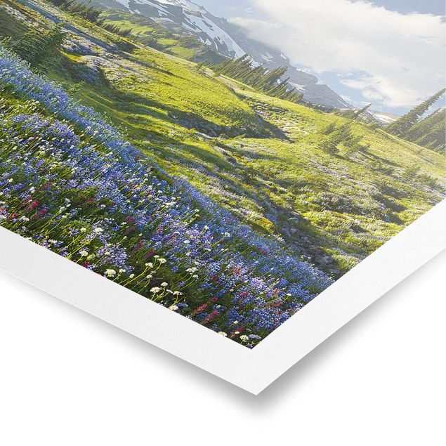 Tableaux moderne Mountain Meadow With Blue Flowers in Front of Mt. Rainier