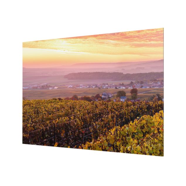 Fond de hotte - Wine Plantations At Sunset - Format paysage 4:3
