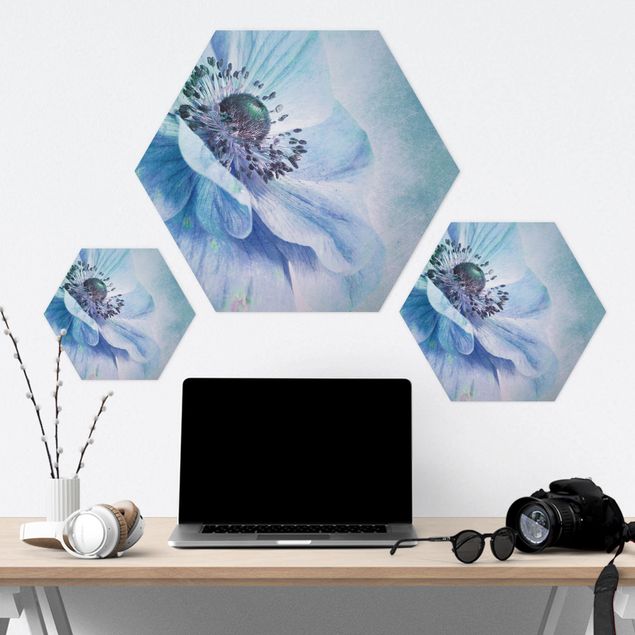 Hexagone en forex - Flower In Turquoise