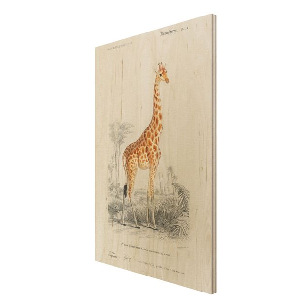 Tableaux muraux Tableau Vintage Girafe