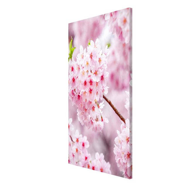 Tableaux magnétiques avec fleurs Japanese Cherry Blossoms