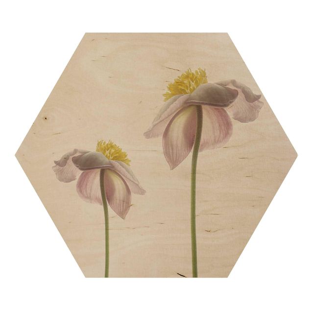 Hexagone en bois - Pink Anemone Blossoms