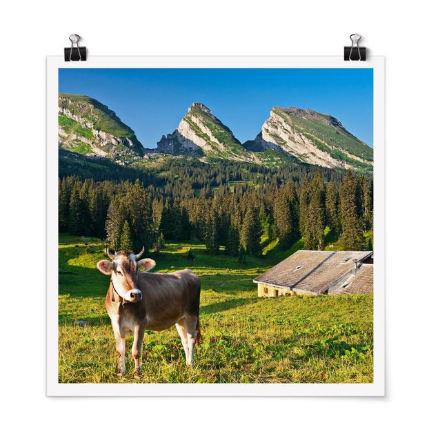 Tableaux arbres Prairie alpine suisse avec vache