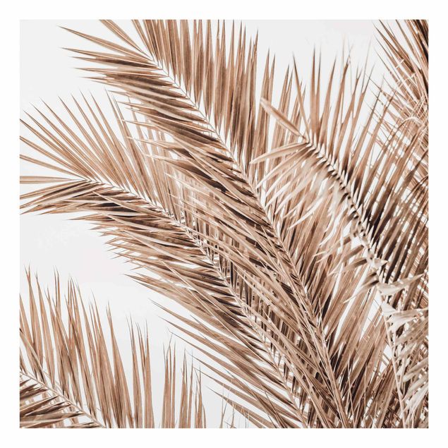 Fonds de hotte - Bronze Coloured Palm Fronds - Carré 1:1