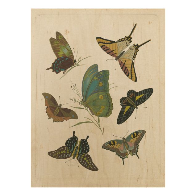 Tableau vintage bois Illustration vintage Papillons Exotiques