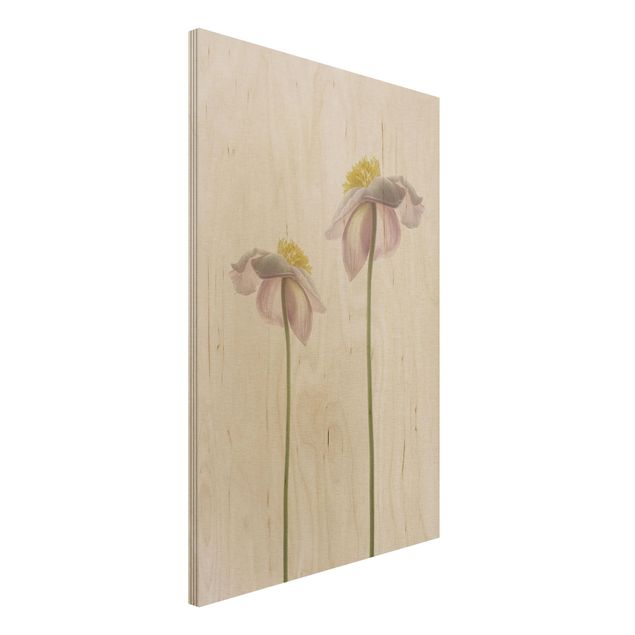 Tableaux en bois avec fleurs Fleurs d'anémone rose