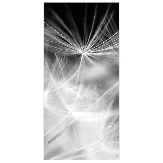 Panneau de séparation - Moving Dandelions Close Up On Black Background
