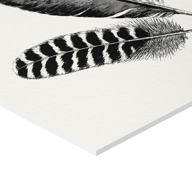Hexagone en forex - Two Feathers - Drawing