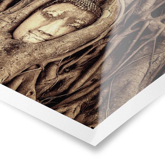 Tableau zen Bouddha d'Ayutthaya doublé de racines d'arbre en brun