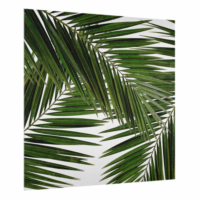 crédence cuisine en verre Vue à travers des feuilles de palmier vertes