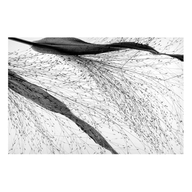 Tableaux magnétiques avec fleurs Roseau délicat avec bourgeons subtils noir et blanc