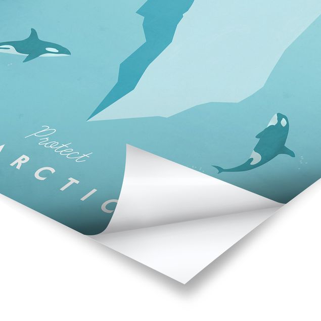 Tableau nature Poster de voyage - Antarctique