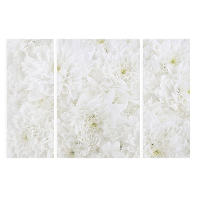 Tableaux muraux Dahlias Mer De Fleurs Blanc