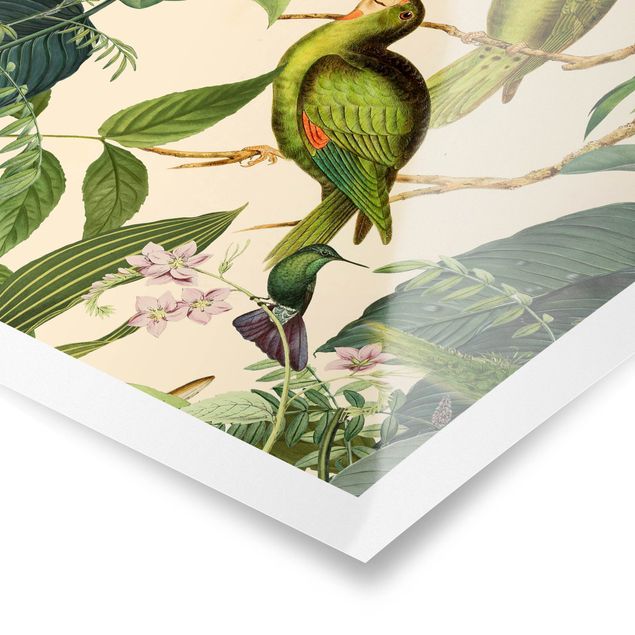 Tableaux verts Collage Vintage - Perroquets dans la jungle