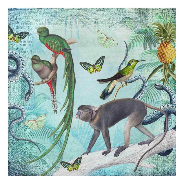 Tableaux de Andrea Haase Collage de style colonial - Singes et oiseaux de paradis