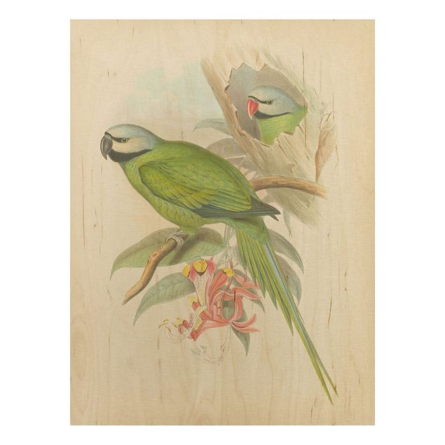 Tableaux en bois avec fleurs Illustration Vintage Oiseaux Tropicaux II