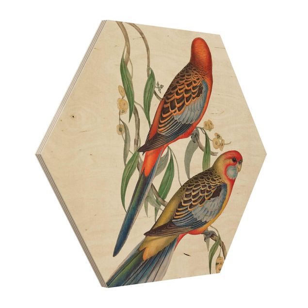 Tableau décoration Tropical Parrot II