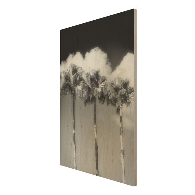 Tableaux en bois avec paysage Palmiers Contre Le Ciel Noir Et Blanc